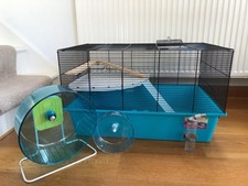 Syrian hampster large for sale  WARRINGTON