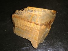 petrified oak wood for sale  Dyer