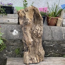 Large driftwood piece for sale  BRIDGEND