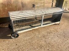 Sheep lamb calf for sale  CHORLEY