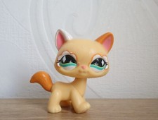 littlest petshop cat maine coon #626 comprar usado  Enviando para Brazil