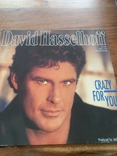 Vinyl david hasselhoff gebraucht kaufen  Bad Krozingen