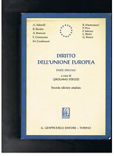 diritto dell unione europea strozzi usato diritto dell unione europea strozzi usato San Benedetto del Tronto