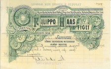 Ricevuta filippo haas usato  Mantova