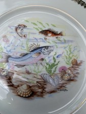 Assiettes porcelaine mehun d'occasion  Narbonne