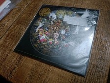 Florence + The Machine Dog Days Are Over Original 2008 MOSHI71 NM/M Unplayed 7" comprar usado  Enviando para Brazil
