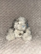 Blue nose friends for sale  FAVERSHAM