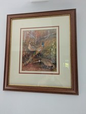 Wood original watercolour for sale  BRADFORD