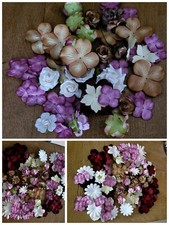 Lot 100 fleurs d'occasion  France