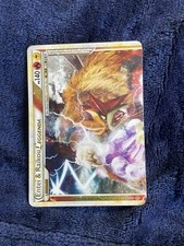 Pokemon entei raikou usato  Perugia