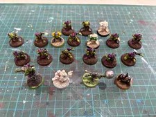 Bloodbowl goblin team usato  Genova