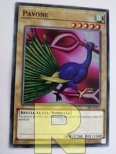 Pavone peacock comune usato  Ravenna