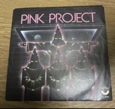 Vinile pink project usato  Castelfidardo