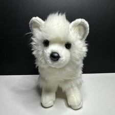 Douglas pomsky pomeranian for sale  Ontario