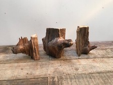 Pine burl knot for sale  Lake City