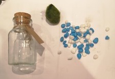 Marimo moss ball for sale  DRONFIELD