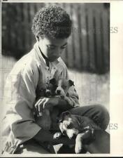 bull terrier puppies for sale bull terrier puppies for sale Memphis