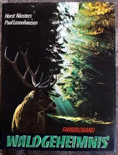Waldgeheimnis niesters losenha gebraucht kaufen  Pilsach