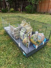 Rabbit cage indoor for sale  WASHINGTON