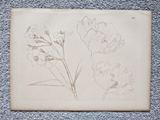 Study flowers antique for sale Study flowers antique for sale  STAFFORD