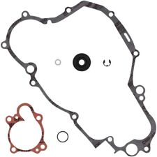 Kit revisione guarnizione usato  Soveria Mannelli