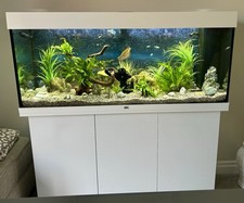 Juwel rio 240 for sale  BEDFORD