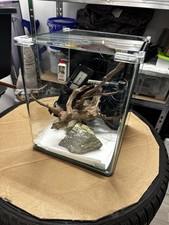 Dennerle nano cube gebraucht kaufen  Brühl