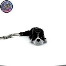 American bully dog for sale  Las Vegas