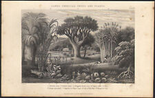 1866 original engraving d'occasion  Expédié en Belgium