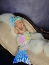 Reborn newborn mermaid for sale  Mohnton