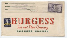 1953 rain lillies for sale  Solon