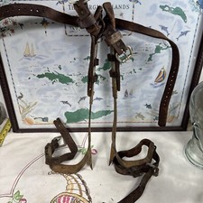 Vintage pair tree for sale  Bastrop
