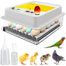 Obi egg incubator for sale  CANNOCK