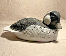Vintage bufflehead drake for sale  Ashland