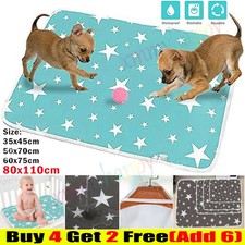 Washable large pet for sale  WORCESTER