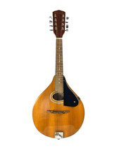 Preowned string mandolin for sale  STOCKPORT