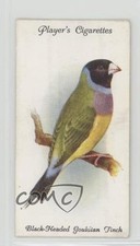 1933 player aviary for sale  Auburn