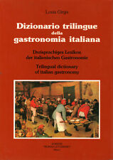 Dizionario trilingue della usato  Cambiago