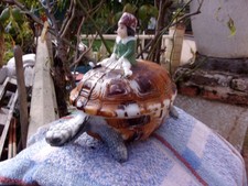 Belle bonbonniere tortue d'occasion Belle bonbonniere tortue d'occasion  Bressuire