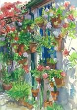 Mas provencal fleurs d'occasion  Sélestat