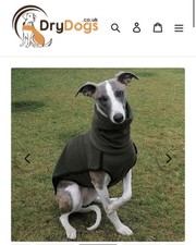 Greyhound house coat for sale  PRESTON