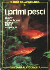 Primi pesci. guppy usato  San Casciano in Val di Pesa