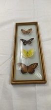 Papillon ancien cadre d'occasion  France