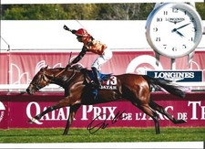 Cristian demuro signed for sale  EPSOM