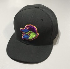 Toledo mud hens for sale  Lincoln Park