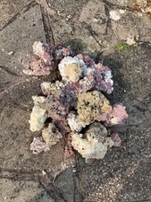 Live marine rock for sale  STOKE-ON-TRENT