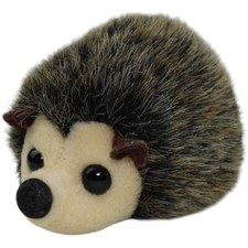 Süßer mini igel gebraucht kaufen  Neusäß