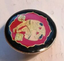 Distintivo spilla badge usato  Pavia