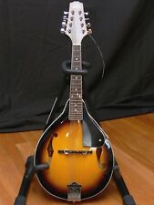 Rogue starter mandolin for sale  Alpharetta