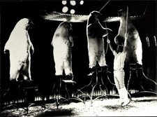 Foto zirkus barum gebraucht kaufen  Berlin